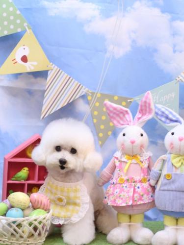 20240322チュッチュくん